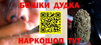 крисы Ногинск