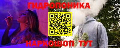 крисы Ногинск