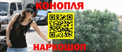 крисы Новоалтайск