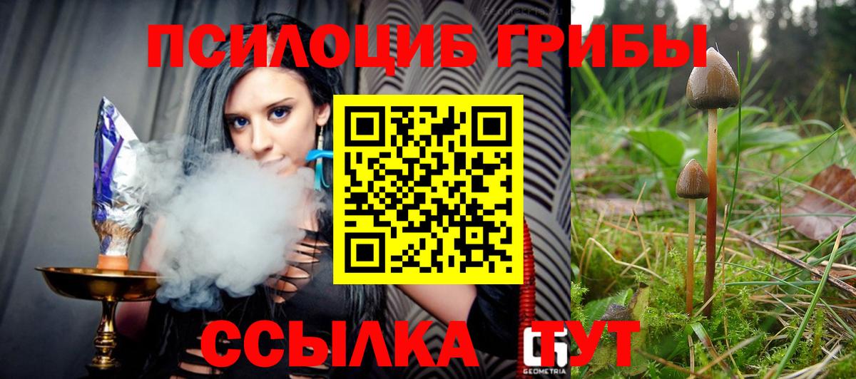 Галлюциногенные грибы Cubensis Ессентуки